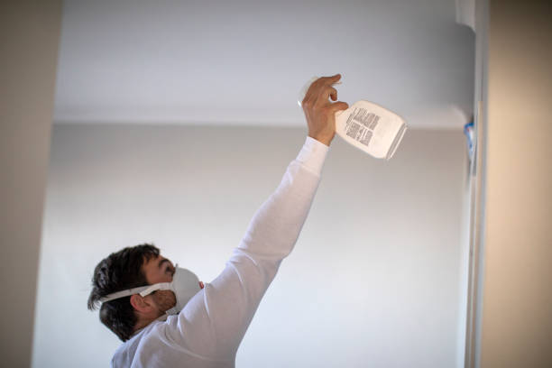 Best Same-Day Mold Removal  in Thorsby, AL