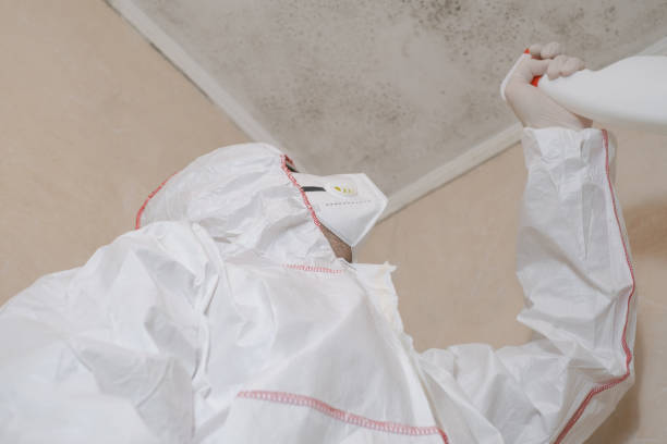 Best Professional Mold Removal  in Thorsby, AL